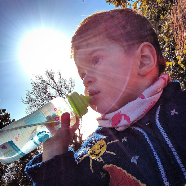 Agua Purificada con Energía Solar